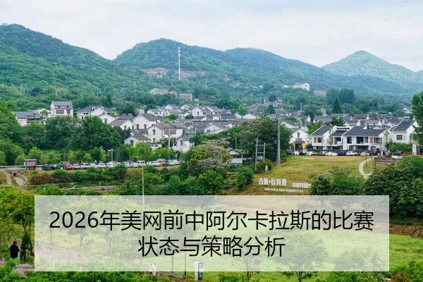 nian-mei-wang-qian-zhong-a-er-ka-la-si-de-bi-sai-zhuang-tai-yu-ce-lve-fen-xi-2-506.jpg