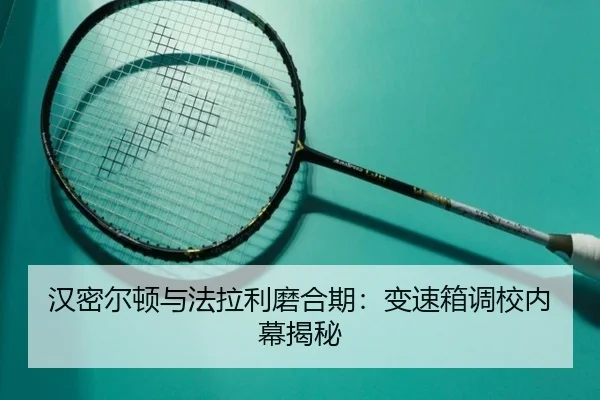 han-mi-er-dun-yu-fa-la-li-mo-he-qi-bian-su-xiang-diao-xiao-nei-mu-jie-mi-3-208.jpg